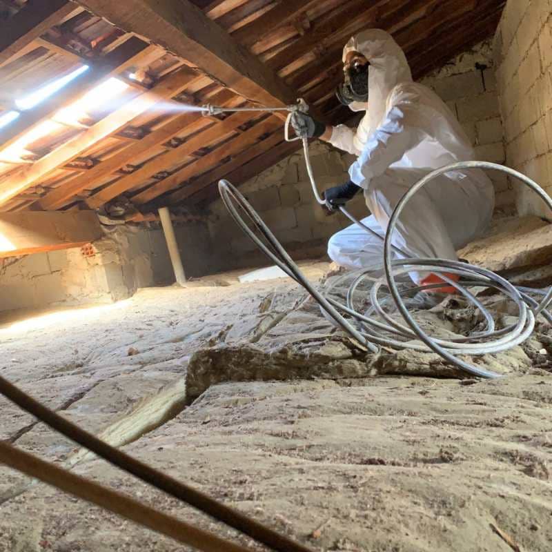 Technicien BDX Termites Audenge traitant la charpente de combles par pulvérisation